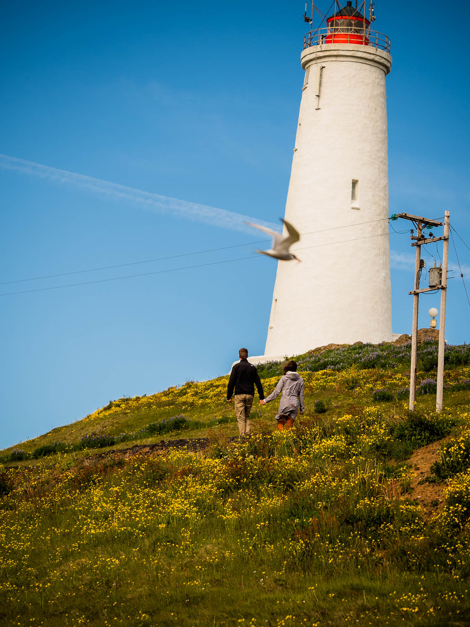 Export x3 P1011084 Fotoshooting Island 2020 Anastasia & Benedikt